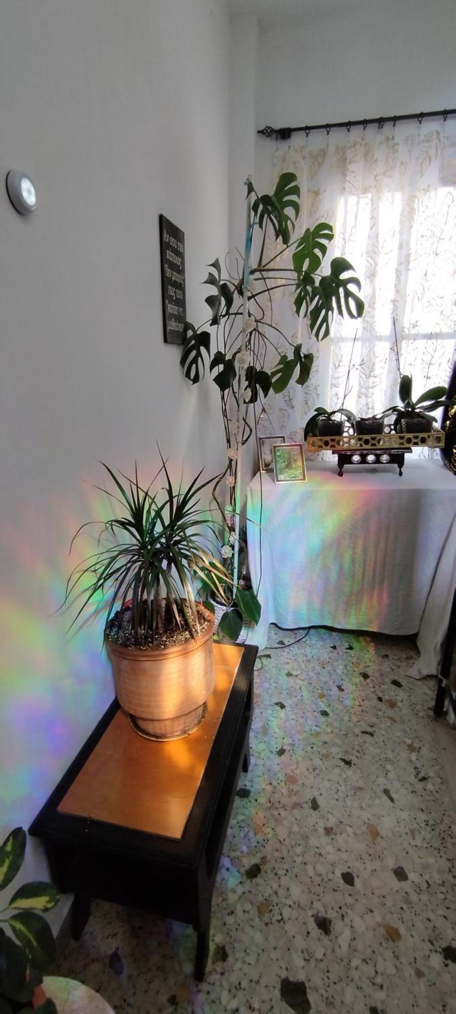 Cozy Room In Quiet Neighbourhood Αθήνα Εξωτερικό φωτογραφία